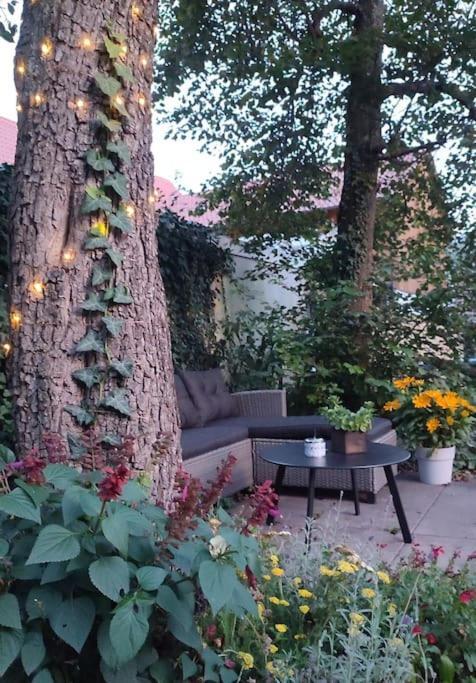 Apartmán Stilvoll Und Gemuetlich - Wohnen Mit Flair Albstadt Exteriér fotografie