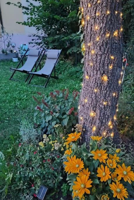 Apartmán Stilvoll Und Gemuetlich - Wohnen Mit Flair Albstadt Exteriér fotografie